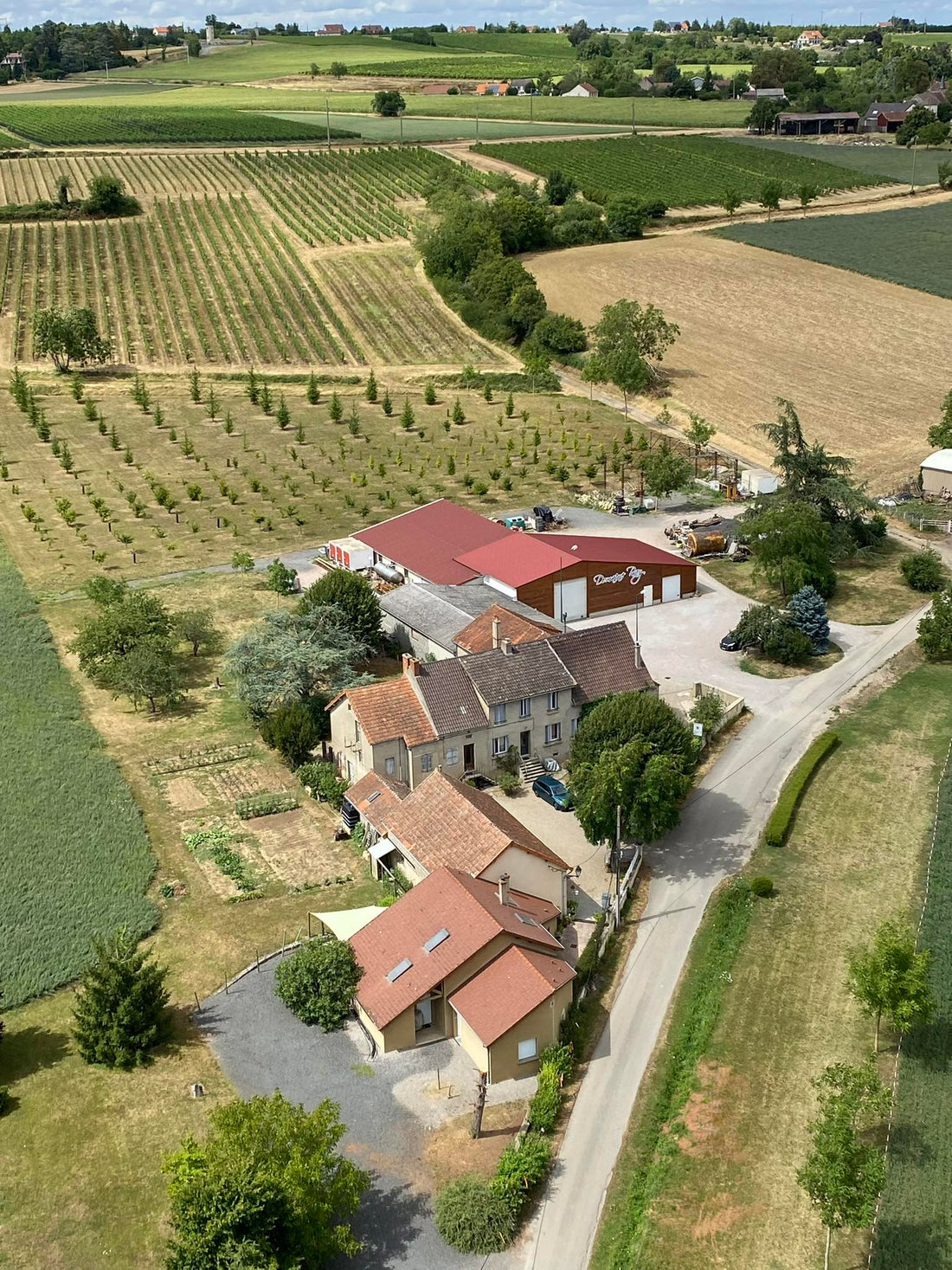 L’origine des Terrasses du Roty