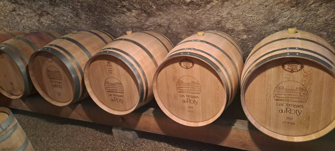 L’art de la vinification : vendanges, macération et élevage
